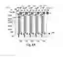 Fig. 09 - Manipulation of fluids and reactions in microfluidic systems