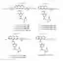 Fig. 01 - Zwitterion-containing acridinium compounds