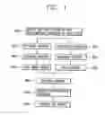 Fig. 02 - Method of fabricating lightweight and thin liquid crystal display device