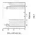 Fig. 06 - Method for fabricating heterojunction interdigitated back contact photovoltaic cells
