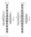 Fig. 06 - Methods of manufacturing flip chip semiconductor packages using double-sided thermal compression bonding