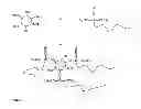 Fig. 02 - Synthesis, capping and dispersion of nanocrystals
