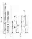 Fig. 13 - APPARATUS AND METHOD FOR CONTROLING IN-DEVICE COEXISTENCE INTERFERENCE IN WIRELESS COMMUNICATION SYSTEM