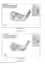 Fig. 22 - Set of golf clubs