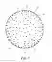 Fig. 08 - Process for designing rugged pattern on golf ball surface
