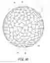 Fig. 31 - Process for designing rugged pattern on golf ball surface