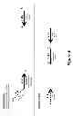 Fig. 05 - ASSAY METHODS FOR INCREASED THROUGHPUT OF SAMPLES AND/OR TARGETS