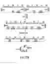 Fig. 35 - USE OF MULTIPLE RECOMBINATION SITES WITH UNIQUE SPECIFICITY IN COMBINATIONAL CLONING
