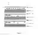 Fig. 02 - Spatially Selective Release of Aptamer-Captured Cells by Temperature Mediation