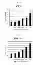 Fig. 06 - Marker for determining effects of anti-c-Met antibody and method of determining effects of anti-c-Met antibody using the marker