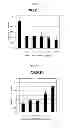 Fig. 08 - Marker for determining effects of anti-c-Met antibody and method of determining effects of anti-c-Met antibody using the marker