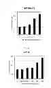 Fig. 09 - Marker for determining effects of anti-c-Met antibody and method of determining effects of anti-c-Met antibody using the marker