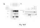 Fig. 09 - METHODS FOR TREATING CANCER RESISTANT TO ERBB THERAPEUTICS