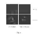 Fig. 10 - METHODS FOR TREATING CANCER RESISTANT TO ERBB THERAPEUTICS