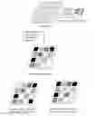 Fig. 01 - Nucleic Acid Ligand Diagnostic Biochip