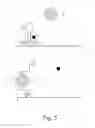 Fig. 06 - Nucleic Acid Ligand Diagnostic Biochip