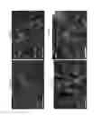 Fig. 09 - METHOD OF IDENTIFYING AGENTS THAT AFFECT MATURATION, SURVIVAL AND MYELINATION
