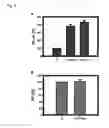 Fig. 09 - REGULATION OF RECEPTOR EXPRESSION THROUGH DELIVERY OF ARTIFICIAL TRANSCRIPTION FACTORS
