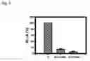 Fig. 10 - REGULATION OF RECEPTOR EXPRESSION THROUGH DELIVERY OF ARTIFICIAL TRANSCRIPTION FACTORS