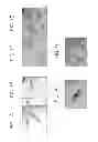 Fig. 02 - METHODS AND COMPOSITIONS FOR CONTROLLING ROTIFERS
