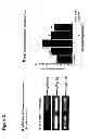 Fig. 06 - Method of reducing cell death by administering a paracrine factor derived from a mesenchymal stem cell