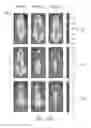 Fig. 33 - Stabilized alpha helical peptides and uses thereof