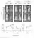 Fig. 35 - Stabilized alpha helical peptides and uses thereof