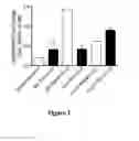 Fig. 04 - Bisphosphonate compositions and methods for treating and\or reducing cardiac dysfunction