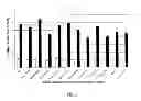 Fig. 07 - Method for screening compounds comprising the use of picornavirus protease 2A