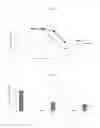 Fig. 04 - STABLE NANOCOMPOSITION COMPRISING EPIRUBICIN, PROCESS FOR THE PREPARATION THEREOF, ITS USE AND PHARMACEUTICAL COMPOSITIONS CONTAINING IT