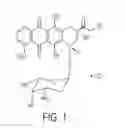 Fig. 02 - SILK-BASED MULTIFUNCTIONAL BIOMEDICAL PLATFORM