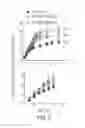 Fig. 03 - SILK-BASED MULTIFUNCTIONAL BIOMEDICAL PLATFORM