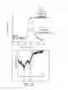 Fig. 22 - SILK-BASED MULTIFUNCTIONAL BIOMEDICAL PLATFORM