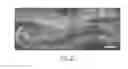 Fig. 29 - SILK-BASED MULTIFUNCTIONAL BIOMEDICAL PLATFORM