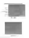 Fig. 35 - SILK-BASED MULTIFUNCTIONAL BIOMEDICAL PLATFORM