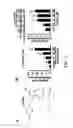 Fig. 03 - COMPOSITION AND METHOD FOR INDUCING EPO-MEDIATED HAEMOGLOBIN EXPRESSION AND MITOCHONDRIAL BIOGENESIS IN NONHAEMATOPOIETIC CELL