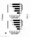 Fig. 05 - COMPOSITION AND METHOD FOR INDUCING EPO-MEDIATED HAEMOGLOBIN EXPRESSION AND MITOCHONDRIAL BIOGENESIS IN NONHAEMATOPOIETIC CELL