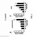 Fig. 06 - COMPOSITION AND METHOD FOR INDUCING EPO-MEDIATED HAEMOGLOBIN EXPRESSION AND MITOCHONDRIAL BIOGENESIS IN NONHAEMATOPOIETIC CELL