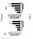 Fig. 07 - COMPOSITION AND METHOD FOR INDUCING EPO-MEDIATED HAEMOGLOBIN EXPRESSION AND MITOCHONDRIAL BIOGENESIS IN NONHAEMATOPOIETIC CELL