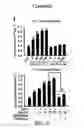 Fig. 20 - COMPOSITION AND METHOD FOR INDUCING EPO-MEDIATED HAEMOGLOBIN EXPRESSION AND MITOCHONDRIAL BIOGENESIS IN NONHAEMATOPOIETIC CELL