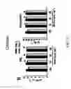 Fig. 22 - COMPOSITION AND METHOD FOR INDUCING EPO-MEDIATED HAEMOGLOBIN EXPRESSION AND MITOCHONDRIAL BIOGENESIS IN NONHAEMATOPOIETIC CELL