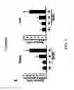 Fig. 23 - COMPOSITION AND METHOD FOR INDUCING EPO-MEDIATED HAEMOGLOBIN EXPRESSION AND MITOCHONDRIAL BIOGENESIS IN NONHAEMATOPOIETIC CELL