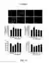 Fig. 45 - COMPOSITION AND METHOD FOR INDUCING EPO-MEDIATED HAEMOGLOBIN EXPRESSION AND MITOCHONDRIAL BIOGENESIS IN NONHAEMATOPOIETIC CELL