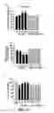Fig. 48 - COMPOSITION AND METHOD FOR INDUCING EPO-MEDIATED HAEMOGLOBIN EXPRESSION AND MITOCHONDRIAL BIOGENESIS IN NONHAEMATOPOIETIC CELL