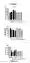 Fig. 49 - COMPOSITION AND METHOD FOR INDUCING EPO-MEDIATED HAEMOGLOBIN EXPRESSION AND MITOCHONDRIAL BIOGENESIS IN NONHAEMATOPOIETIC CELL