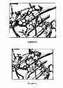 Fig. 06 - Antimicrobial compounds