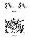 Fig. 07 - Antimicrobial compounds
