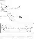 Fig. 17 - Antimicrobial compounds
