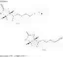 Fig. 21 - Antimicrobial compounds