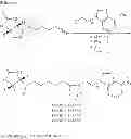 Fig. 25 - Antimicrobial compounds